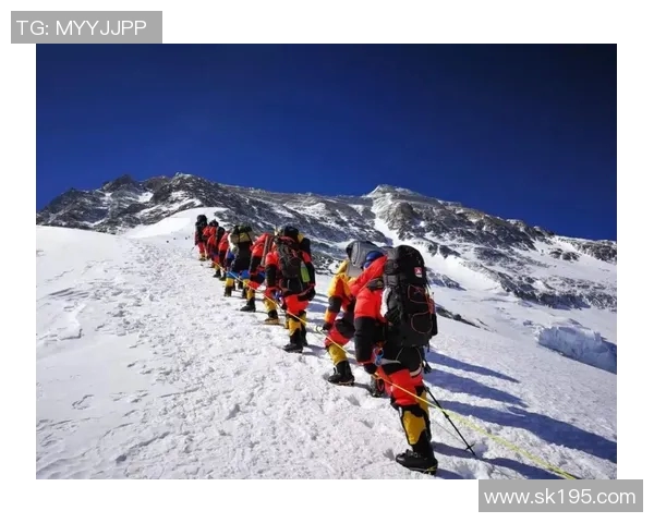 张强的排球人生深度对话：从热爱到巅峰的奋斗与坚持