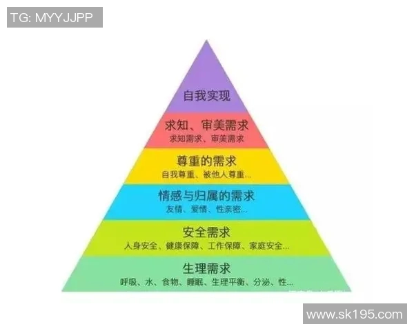 杭州篮球队心理素质排名第五揭示球队背后的心理训练秘诀