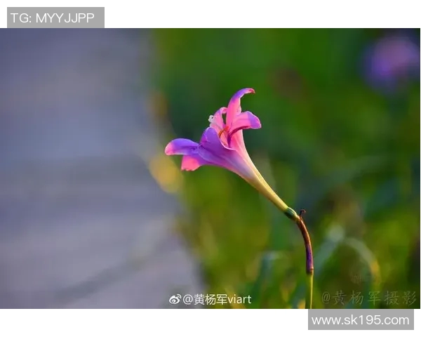 王秀英专访：从绿茵场到人生舞台的奋斗与坚持