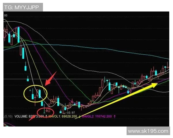 深入分析JDG战队盯防战术的核心理念与实战应用