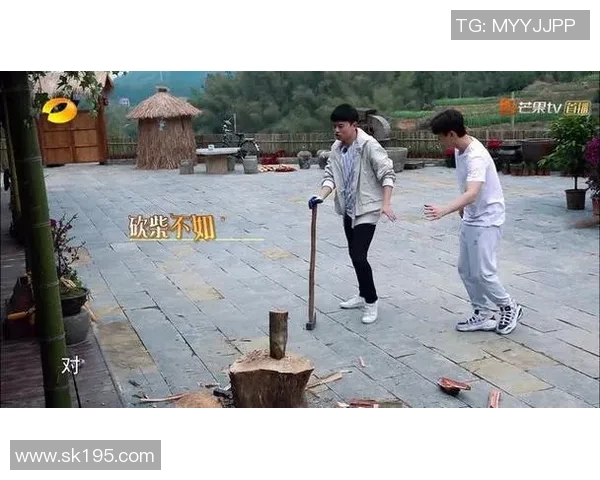 黄磊亲自分享羽毛球技巧与训练心得助你提升竞技水平