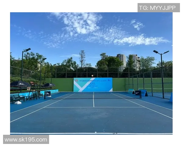 成都网球队防反策略分析与比赛表现的得失评估