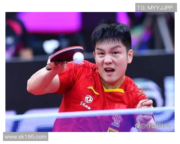 成都乒乓球队实力解析与发展潜力探讨聚焦乒乓球运动的未来