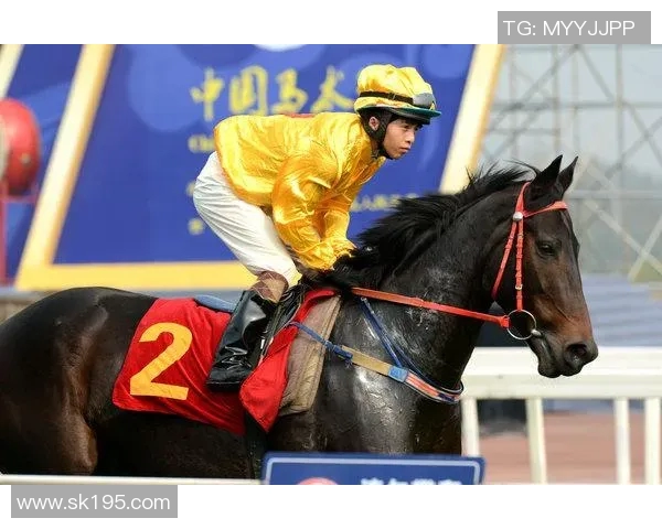 成都羽毛球队速度对比分析揭示训练效果与比赛表现的深层联系