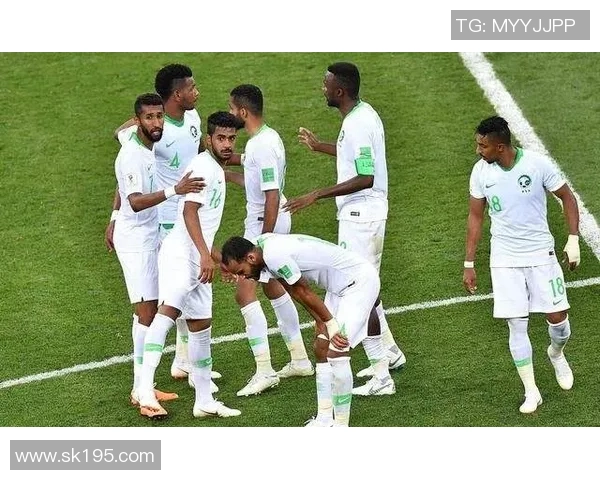 沙特与埃及比赛在哪个电视台直播观看指南与频道推荐