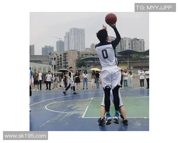 杭州羽毛球队区域防守创新探索与实践分析MBA