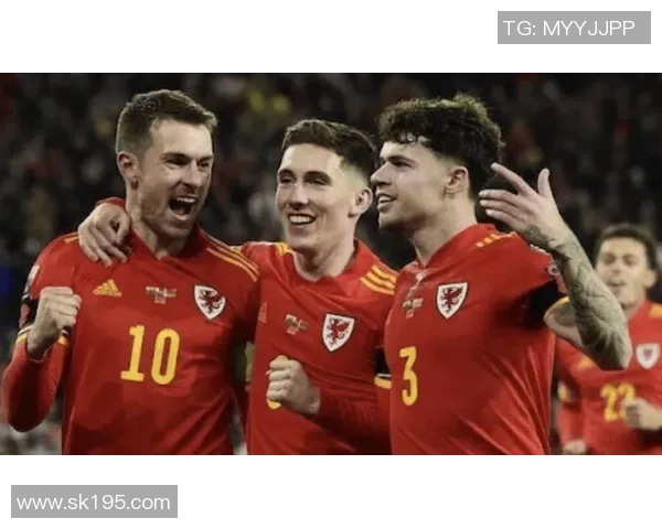威尔士与芬兰比赛数据分析及历史交锋记录详解