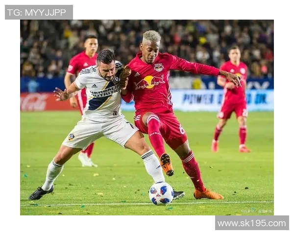 纽约城与波兰特伐木的对决谁能在城市与自然之间找到平衡 纽约城与波兰特伐木的对决谁能在城市与自然之间找到平衡