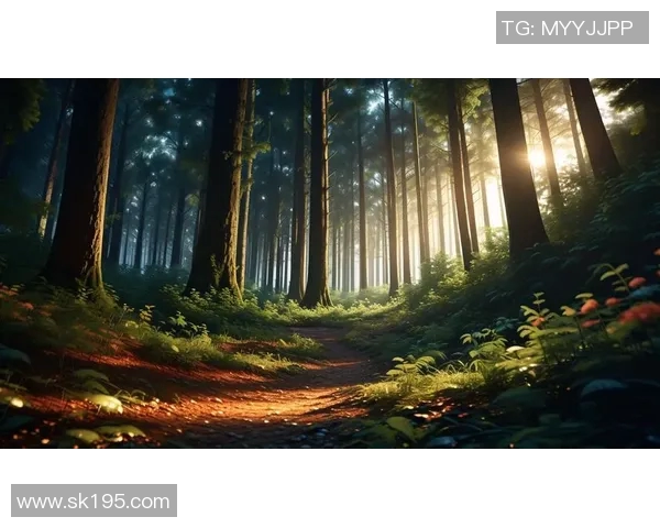 雷蒙的奇幻冒险之旅探索未知世界的秘密与惊喜